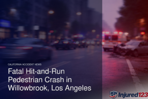 Fatal Hit-and-Run Pedestrian Crash in Willowbrook, Los Angeles